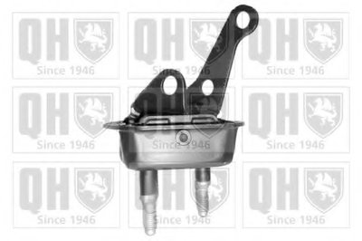 Фото QUINTON HAZELL EM1914