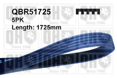 V-Ribbed Belts