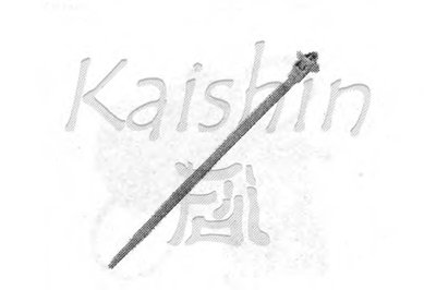 Кузов KAISHIN