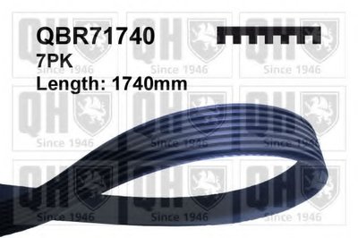 V-Ribbed Belts QUINTON HAZELL