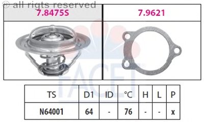 Термостат, охлаждающая жидкость FACET