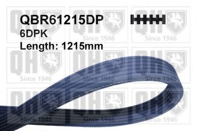 V-Ribbed Belts QUINTON HAZELL купить