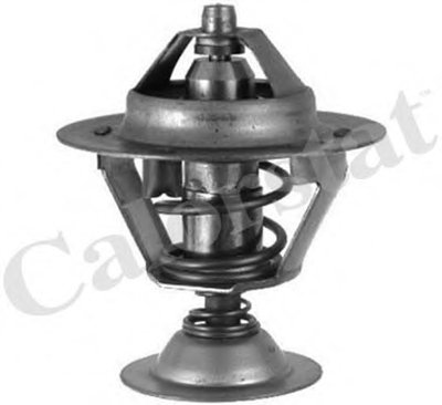 Термостат, охлаждающая жидкость CALORSTAT by Vernet