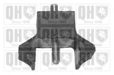 Фото QUINTON HAZELL EM2014