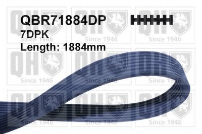 V-Ribbed Belts