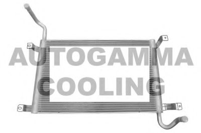 Радиатор, охлаждение двигателя AUTOGAMMA купить