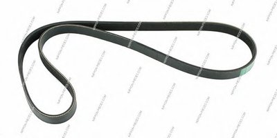 V-Ribbed Belts NPS