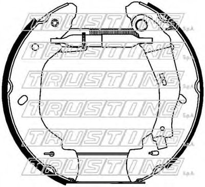 Комплект тормозных колодок FAST KIT TRUSTING купить