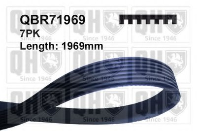 V-Ribbed Belts QUINTON HAZELL