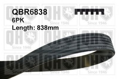 V-Ribbed Belts