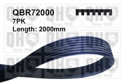 V-Ribbed Belts QUINTON HAZELL