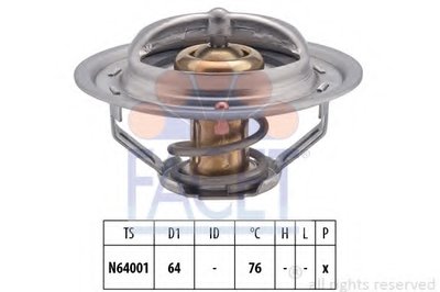 Термостат, охлаждающая жидкость FACET