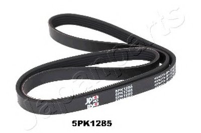 V-Ribbed Belts