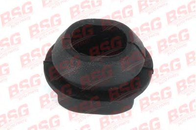 Подвеска, радиатор BSG